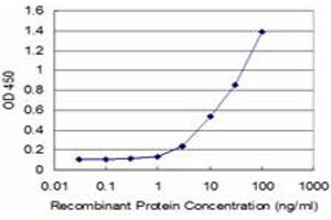 Detection limit for recombinant GST tagged IRAK4 is approximately 1ng/ml as a capture antibody. (IRAK4 抗体  (AA 255-351))