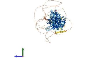 Protein Structure (PS) image for THO Complex 2 (THOC2) (AA 1-1593) protein (His tag) (ABIN7555741)