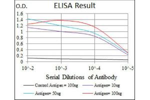 ELISA image for anti-Integrin beta 1 (ITGB1) antibody (ABIN1844059) (ITGB1 抗体)
