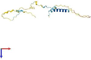 IER3 Protein (AA 1-156) (His tag)
