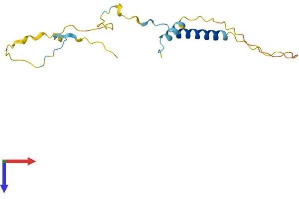 IER3 Protein (AA 1-156) (His tag)
