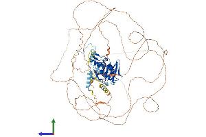 Protein Structure (PS) image for Establishment of Cohesion 1 Homolog 1 (ESCO1) (AA 1-840) protein (His tag) (ABIN7553864)