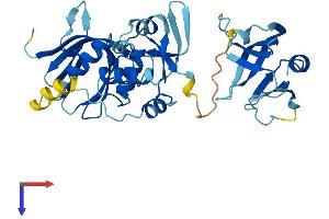 Pleckstrin 2 Protein (PLEK2) (AA 1-353) (His tag)
