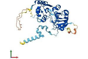 Protein Structure (PS) image for Cell Division Cycle 123 Homolog (CDC123) (AA 1-336) protein (His tag) (ABIN7553218)