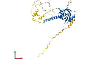AlphaFold protein structure predicition of Human Recombinant FAM43B Protein, UniprotID Q6ZT52 (FAM43B Protein (AA 1-329) (His tag))