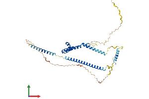 Protein Structure (PS) image for SWI/SNF Related, Matrix Associated, Actin Dependent Regulator of Chromatin, Subfamily E, Member 1 (SMARCE1) (AA 1-411) protein (His tag) (ABIN7555507)