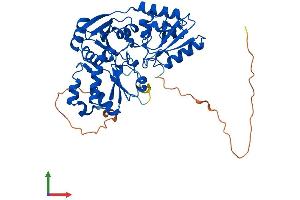 AlphaFold protein structure predicition of Mouse Recombinant Dph1 Protein, UniprotID Q5NCQ5