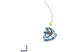 Protein Structure (PS) image for RAB3C, Member RAS Oncogene Family (Rab3c) (AA 1-227) protein (His tag) (ABIN7556617)