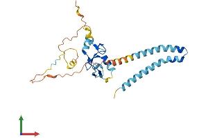 Protein Structure (PS) image for Ring Finger Protein 182 (RNF182) (AA 1-247) protein (His tag) (ABIN7559128)