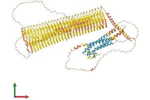 AlphaFold protein structure predicition of Mouse Recombinant Plin4 Protein, UniprotID O88492 (PLIN4 Protein (AA 1-1403) (His tag))
