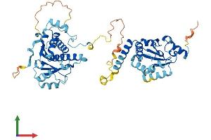 Protein Structure (PS) image for Ganglioside-Induced Differentiation-Associated-Protein 2 (GDAP2) (AA 1-498) protein (His tag) (ABIN7561285)