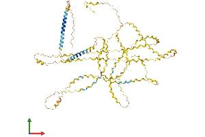 Protein Structure (PS) image for Collagen, Type XXV, alpha 1 (COL25A1) (AA 1-666) protein (His tag) (ABIN7560413)