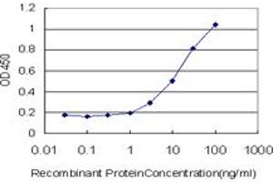Detection limit for recombinant GST tagged MYO3A is approximately 1ng/ml as a capture antibody. (MYO3A 抗体  (AA 1400-1490))