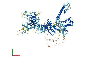 Protein Structure (PS) image for Transient Receptor Potential Cation Channel, Subfamily M, Member 4 (TRPM4) (AA 1-1213) protein (His tag) (ABIN7564194)
