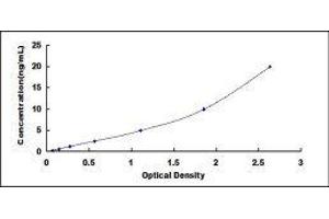 Thymidine Phosphorylase (TYMP) ELISA Kit