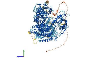Protein Structure (PS) image for Aquarius Homolog (AQR) (AA 1-1485) protein (His tag) (ABIN7552262)