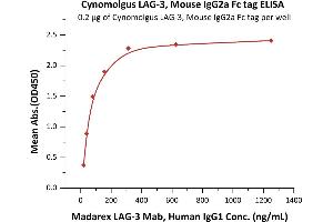 ELISA image for Lymphocyte-Activation Gene 3 (LAG3) (AA 18-449) (Active) protein (Fc Tag) (ABIN5674617)