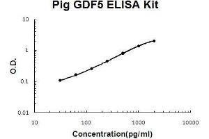 Pig GDF5 PicoKine ELISA Kit standard curve (GDF5 ELISA 试剂盒)