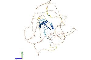 Protein Structure (PS) image for Nucleolar and Coiled-Body Phosphoprotein 1 (NOLC1) (AA 1-699) protein (His tag) (ABIN7554774)
