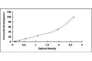 Typical standard curve