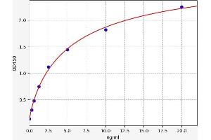 CDK5 ELISA 试剂盒