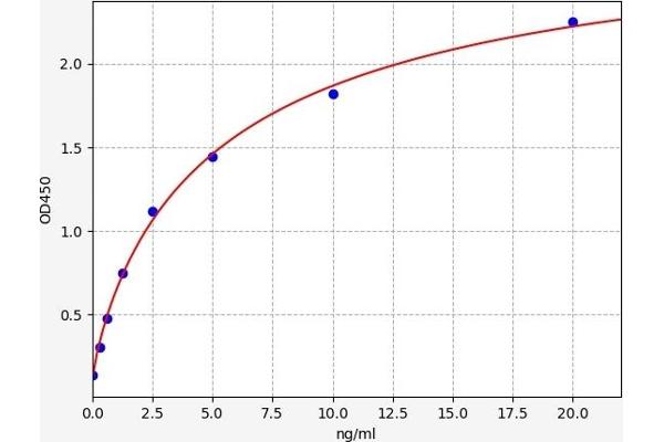 CDK5 ELISA 试剂盒