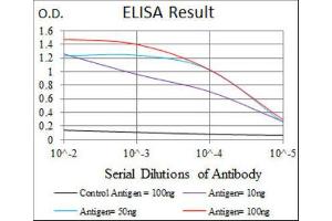 ELISA image for anti-delta-Like 4 (DLL4) antibody (ABIN1846319) (DLL4 抗体)