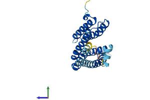 Protein Structure (PS) image for CDP-Diacylglycerol--Inositol 3-Phosphatidyltransferase (CDIPT) (AA 1-213) protein (His tag) (ABIN7559864)