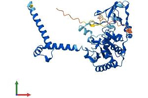 AlphaFold protein structure predicition of Human Recombinant SIRT7 Protein, UniprotID Q9NRC8