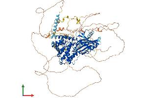 Protein Structure (PS) image for StAR-Related Lipid Transfer (START) Domain Containing 8 (STARD8) (AA 1-1023) protein (His tag) (ABIN7555619)