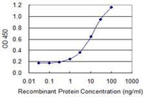 Detection limit for recombinant GST tagged DPYSL5 is 0. (DPYSL5 抗体  (AA 1-564))