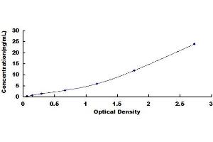 Typical Standard Curve