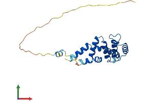 AlphaFold protein structure predicition of Mouse Recombinant Rgs1 Protein, UniprotID Q9JL25