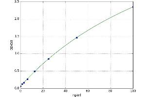 Eosinophil Peroxidase (EPX) ELISA Kit
