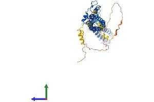AlphaFold protein structure predicition of Human Recombinant TTYH2 Protein, UniprotID Q9BSA4