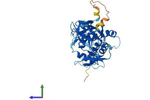 Protein Structure (PS) image for Neutrophil Cytosolic Factor 4, 40kDa (NCF4) (AA 1-339) protein (His tag) (ABIN7556795)