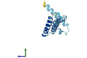 AlphaFold protein structure predicition of Mouse Recombinant Mpc2 Protein, UniprotID Q9D023