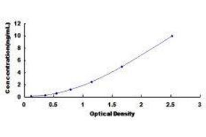 ELISA image for LIM and SH3 Protein 1 (LASP1) ELISA Kit (ABIN1383648)