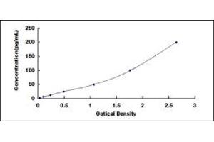 Typical standard curve (IL-5 ELISA 试剂盒)