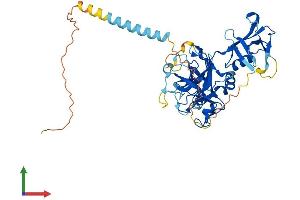 AlphaFold protein structure predicition of Mouse Recombinant Tmprss5 Protein, UniprotID Q9ER04