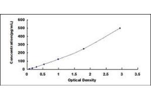 Typical standard curve (Interferon Tau ELISA 试剂盒)