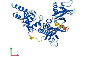 Protein Structure (PS) image for ArfGAP with Dual PH Domains 2 (ADAP2) (AA 1-381) protein (His tag) (ABIN7559711)