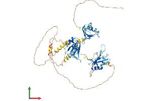 Protein Structure (PS) image for CUGBP, Elav-Like Family Member 2 (CELF2) (AA 1-508) protein (His tag) (ABIN7553412)