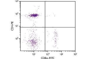 Chicken peripheral blood lymphocytes were stained with Mouse Anti-Chicken CD8α-FITC. (CD8 alpha 抗体  (FITC))