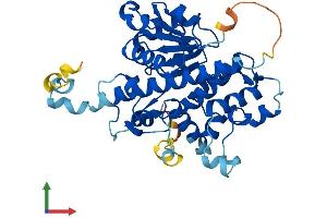 Protein Structure (PS) image for Chromosome 14 Open Reading Frame 148 (C14orf148) (AA 1-366) protein (His tag) (ABIN7560958)