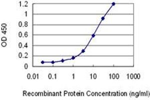 Detection limit for recombinant GST tagged HAAO is 0. (HAAO 抗体  (AA 97-196))