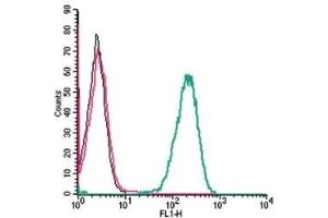 Cell surface detection of Plexin-C1 by indirect flow cytometry in live intact human THP-1 monocytic leukemia cells: (black line) Cells. (Plexin C1 抗体  (Extracellular, N-Term))