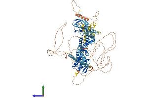Protein Structure (PS) image for Potassium Voltage-Gated Channel, Subfamily H (Eag-Related), Member 8 (KCNH8) (AA 1-1107) protein (His tag) (ABIN7554238)