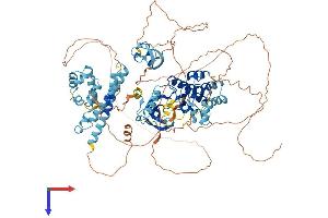 KSR1 Protein (AA 1-873) (His tag)