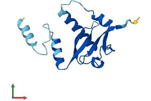 Protein Structure (PS) image for Small Nuclear Ribonucleoprotein 25kDa (U11/U12) (SNRNP25) (AA 1-132) protein (His tag) (ABIN7546138)